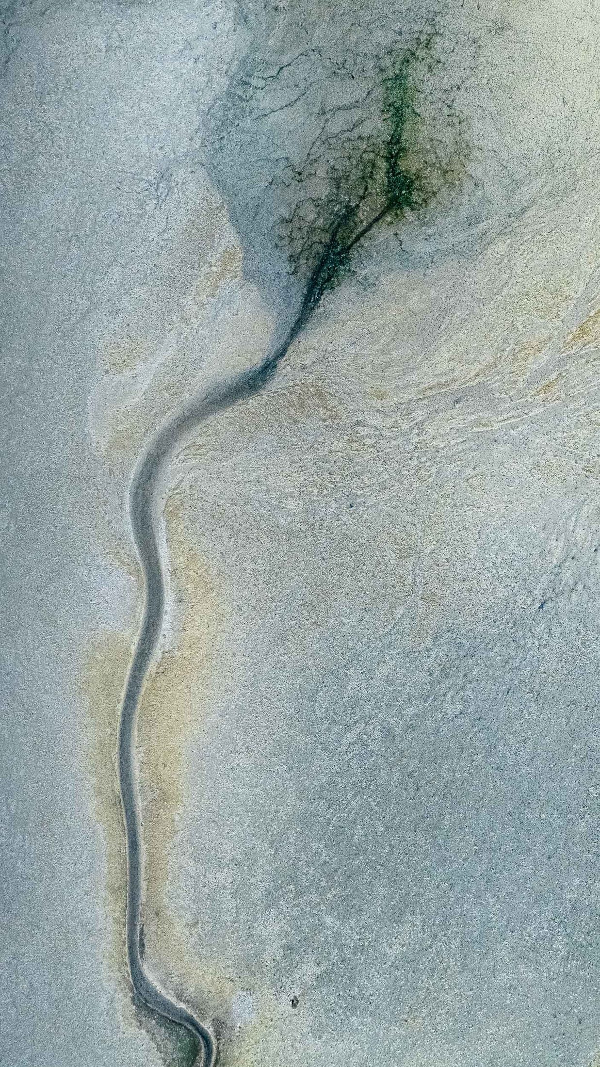 Catálogo — Amazônia Negra